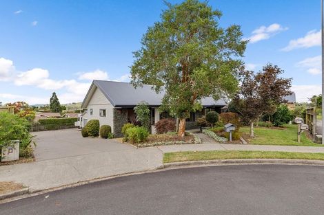 Photo of property in 20 Loveridge Place, Morrinsville, 3300