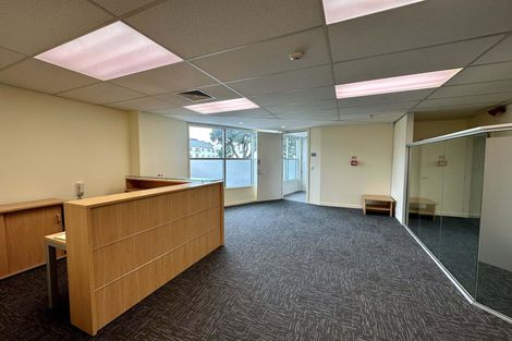 Photo of property in 8a Madeira Lane, Grafton, Auckland, 1023