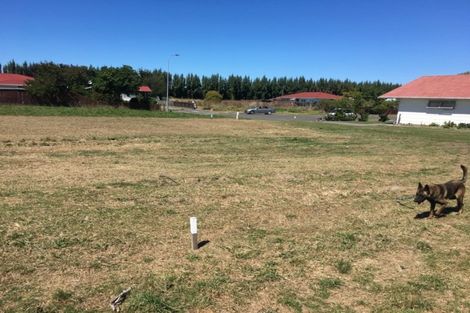 Photo of property in 3 Rata Place, Wairoa, 4108