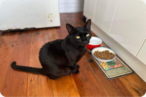 Photo of property in 57 Ranui Terrace, Tawa, Wellington, 5028