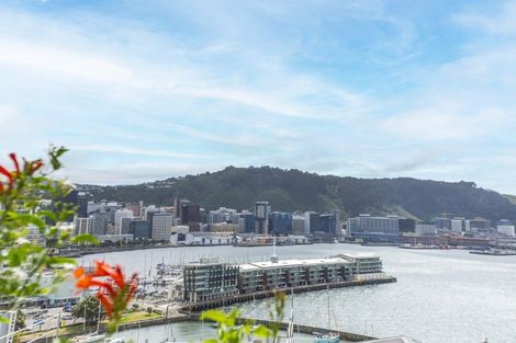Photo of property in 53 Hawker Street, Mount Victoria, Wellington, 6011