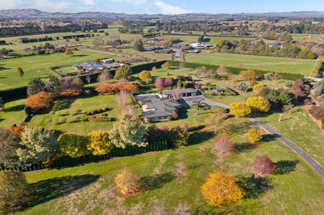 Photo of property in 404 Upper Plain Road, Upper Plain, Masterton, 5888