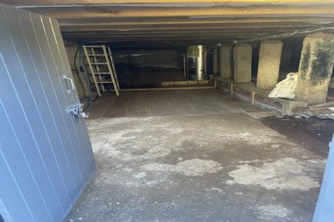 Photo of property in 12 Connolly Avenue, Mount Roskill, Auckland, 1041