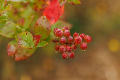 Photo of property in 790 Pungaere Road, Waipapa, 0295