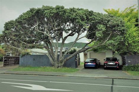 Photo of property in 85 Cambridge Terrace, Waterloo, Lower Hutt, 5011