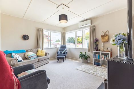 Photo of property in 61 Manson Street, Terrace End, Palmerston North, 4410