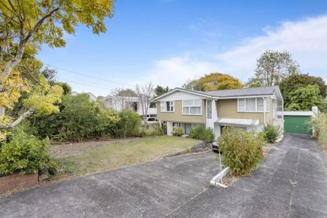Photo of property in 11 Stephen Avenue, Henderson, Auckland, 0610
