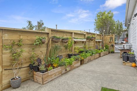 Photo of property in 23 Main Road, Raglan, 3225