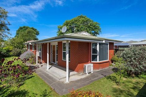 Photo of property in 62 Litchfield Street, Redwoodtown, Blenheim, 7201