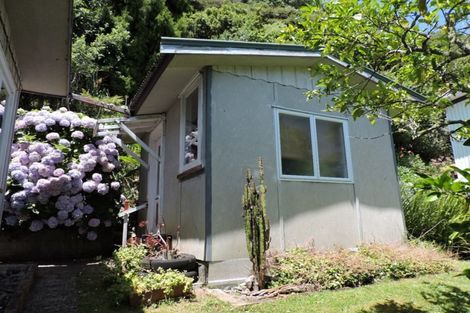 Photo of property in 21 Creagh Street, Tapu, Thames, 3575