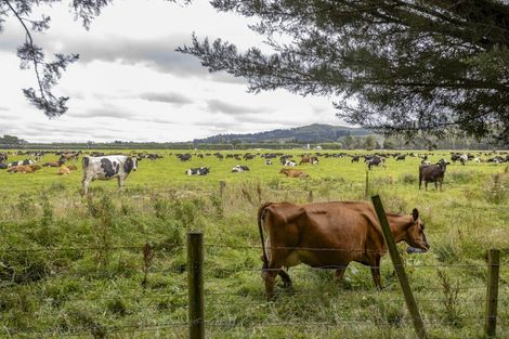 Photo of property in 247 Stubbs Road, Starvation Hill, Oxford, 7495
