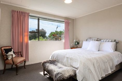 Photo of property in 59 Marama Road, Seddon, 7285