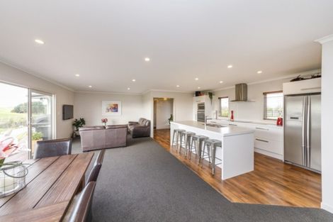 Photo of property in 132 Ngaio Road, Halcombe, Palmerston North, 4479