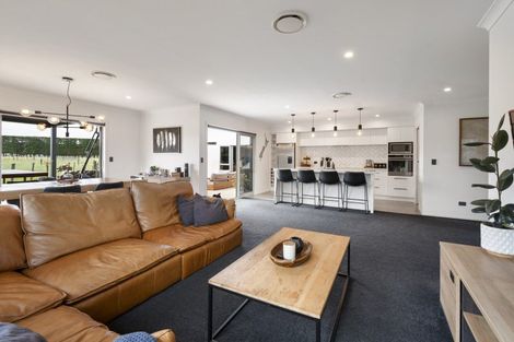 Photo of property in 42 Accolade Street, Maewa, Feilding, 4702