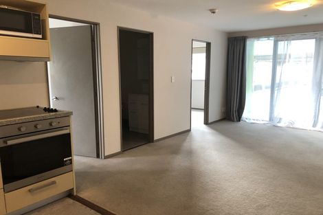 Photo of property in Dual Apartments, 301/142 Vivian Street, Te Aro, Wellington, 6011