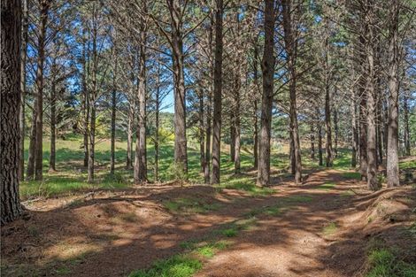Photo of property in 28 Wahitapu Lane, Opoutere, Whangamata, 3691
