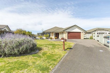 Photo of property in 25 Fahey Avenue, Mount Maunganui, 3116