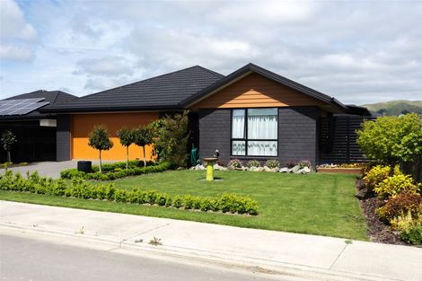 Photo of property in 43 Easthaven Place, Redwoodtown, Blenheim, 7201