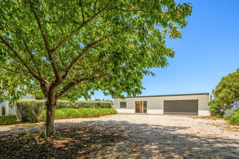 Photo of property in 115 Matthews Lane, Rapaura, Blenheim, 7273