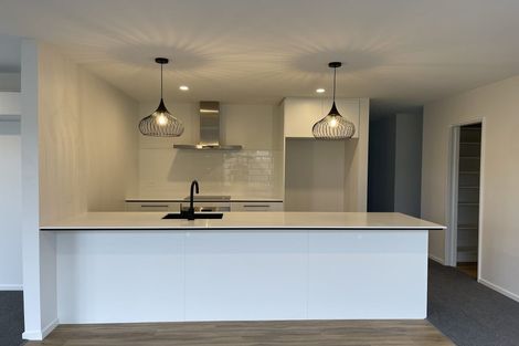 Photo of property in 66 Nethercote Way, Rolleston, 7614