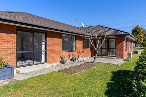 Photo of property in 223 Redwood Street, Witherlea, Blenheim, 7201