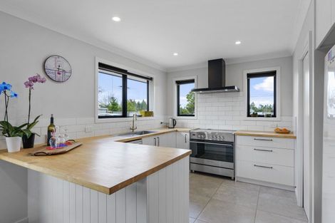 Photo of property in 24 King Street, Coalgate, 7673