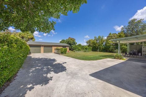 Photo of property in 351 Ross Street, Pirongia, 3802