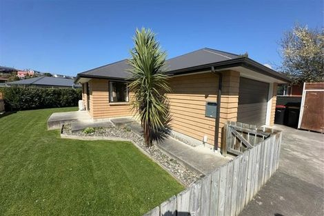 Photo of property in 43 Waimea Street, Gore, 9710