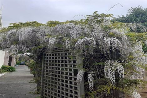 Photo of property in 12 Pohutukawa Crescent, Raumati Beach, Paraparaumu, 5032
