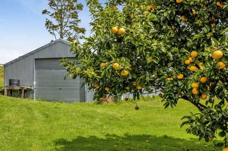 Photo of property in 200 Paraite Road, Paraite, New Plymouth, 4373