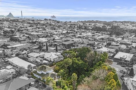 Photo of property in 105 Vivian Street, New Plymouth, 4310