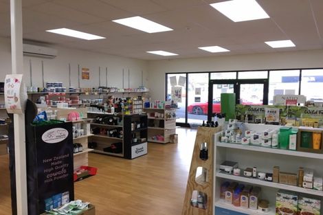 Photo of property in 3b Cook Street, Gate Pa, Tauranga, 3112