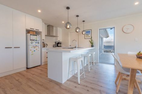 Photo of property in 48 Larch Crescent, Alexandra, 9320