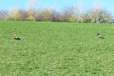 Photo of property in 27 District Road, Weston, Oamaru, 9401