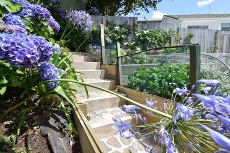 Photo of property in 3 Pine Grove, Tairua, 3508