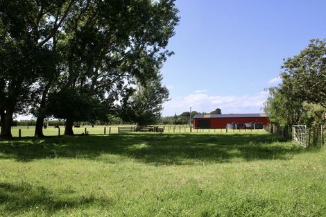 Photo of property in 152 Motuiti Road, Foxton, 4891