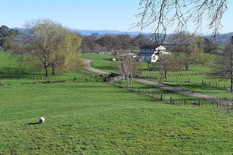 Photo of property in 464 Masterton-castlepoint Road, Te Ore Ore, Masterton, 5886