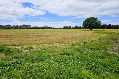 Photo of property in 735 One Tree Point Road, Ruakaka, 0171