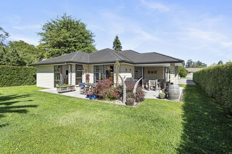 Photo of property in 14 Bronte Place, Leamington, Cambridge, 3432