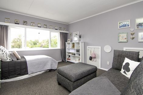Photo of property in 57 Limbrick Street, Terrace End, Palmerston North, 4410