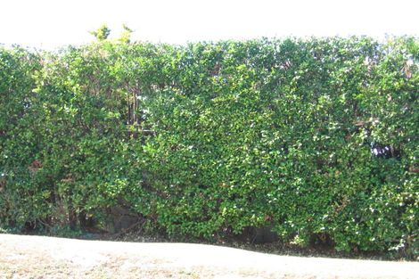 Photo of property in 113 Churchill Road, Murrays Bay, Auckland, 0630