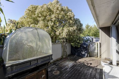 Photo of property in 8a Waterloo Place, Westown, New Plymouth, 4310