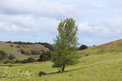 Photo of property in 215c Heatley Road, Whakapirau, 0583