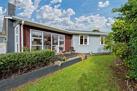 Photo of property in 132 Limbrick Street, Terrace End, Palmerston North, 4410