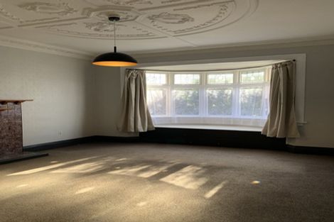 Photo of property in 251 Macandrew Road, Forbury, Dunedin, 9012