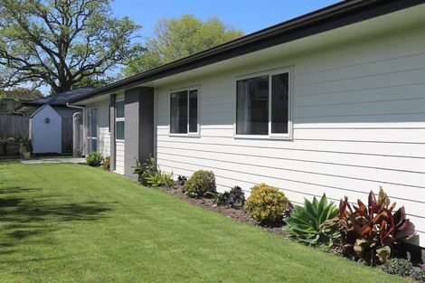 Photo of property in 14 Harlock Place, Huntly, 3700