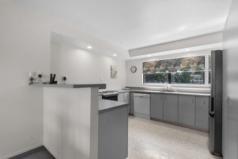 Photo of property in 12b Taylor Terrace, St Andrews, Hamilton, 3200