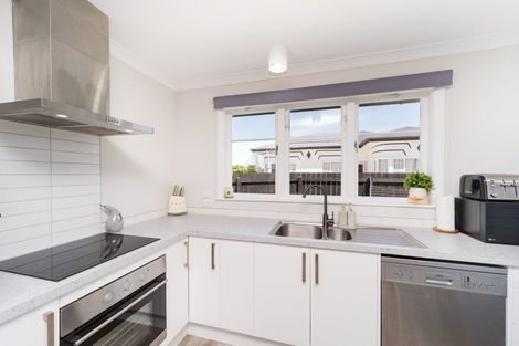 Photo of property in 51 Highbury Avenue, Highbury, Palmerston North, 4412