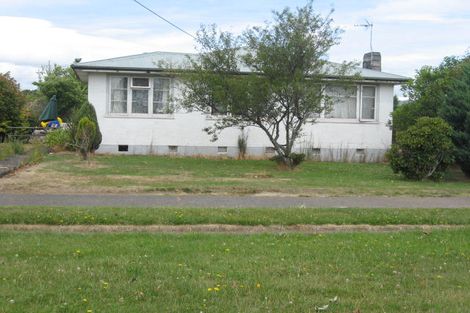 Photo of property in 29 Ward Street, Raetihi, 4632