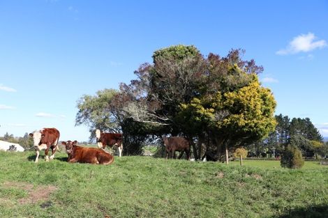 Photo of property in 2220 Kakaramea Road, Ngahinapouri, Hamilton, 3290